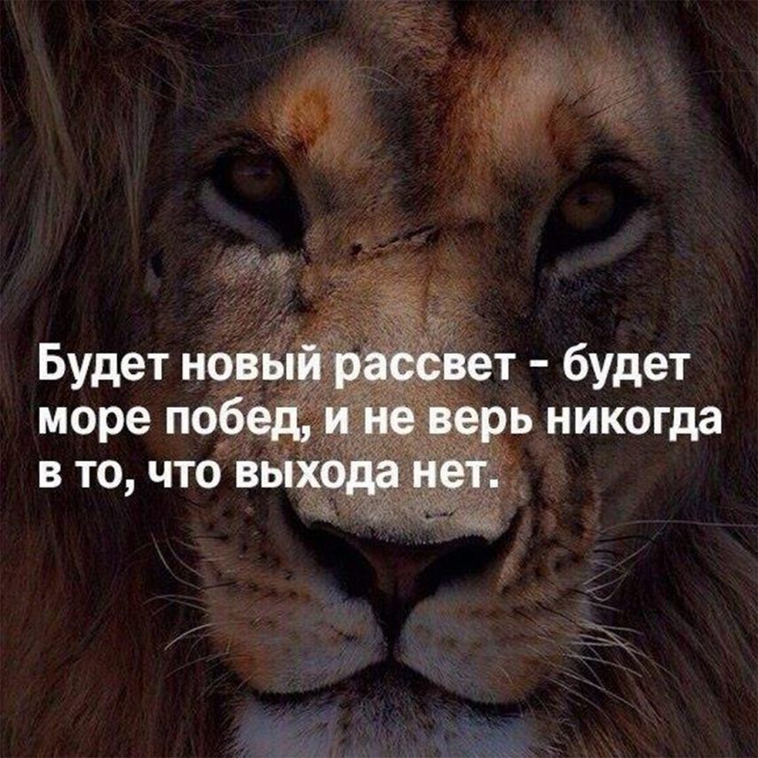 Лев